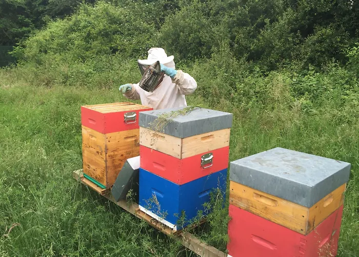 Novotel Marne La Vallee