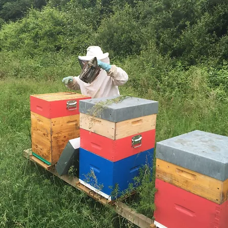 Novotel Marne La Vallee